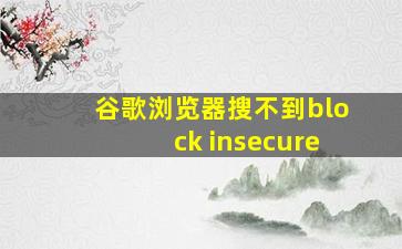 谷歌浏览器搜不到block insecure